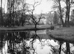 Paac Grafw Rzeszy von Schaffgotsch - widok od strony parku - zdjcie z maja 1929 roku